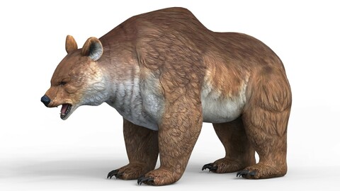 Fantasy Bear 3D Model