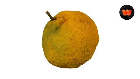 Tangerine - Extreme Definition 3D Scanned Model