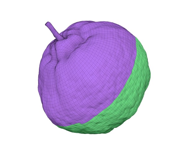 ArtStation - Tangerine - Extreme Definition 3D Scanned Model | Resources