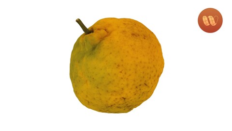 Tangerine - Real-Time 3D Scanned Model