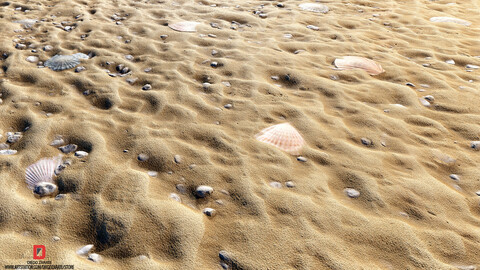 PBR - SAND, BEACH, SEASHELL, STONES - 4K MATERIAL