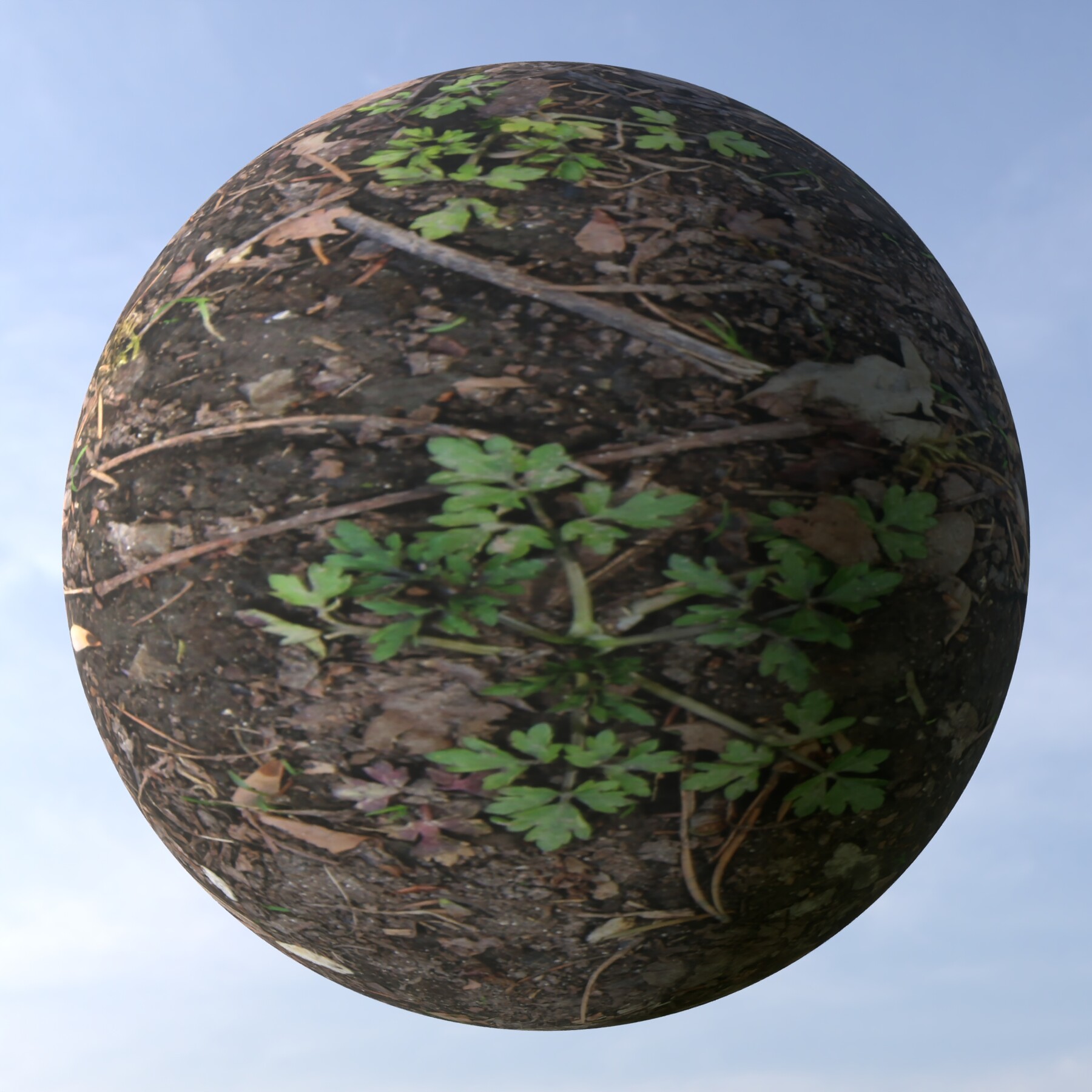 ArtStation - Forest Ground 15 PBR Material | Game Assets