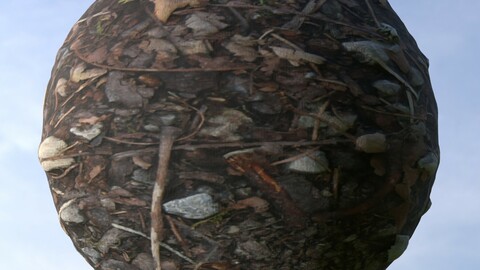 Forest Ground 16 PBR Material