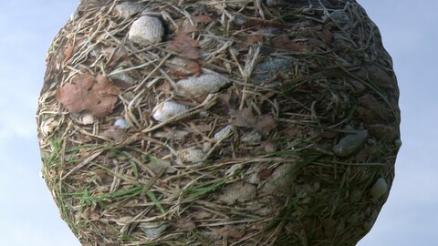 Gravel Grass 11 PBR Material