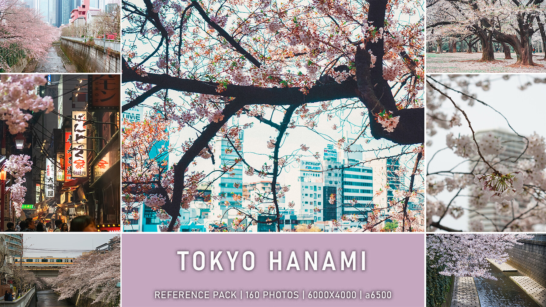 ArtStation - Tokyo Hanami | Japan | Resources