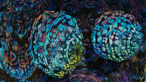 Everyone got friends