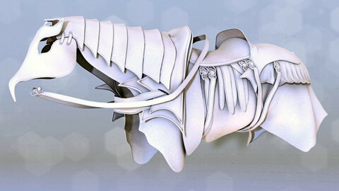 Ceremonial Horse Armor