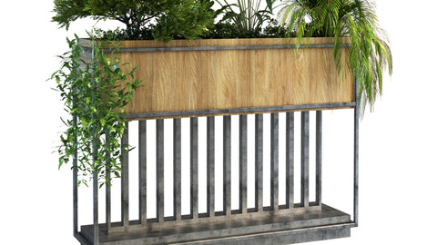 plant in box set 069