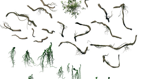 Suburb - Huanglongshan broken bridge vines