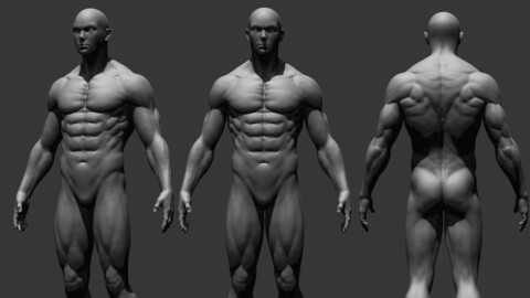 Realistic Male Full Body