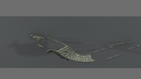 Journey to the West - Surface 01