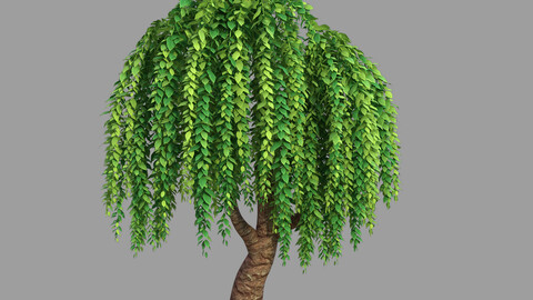 100 acres of forest - willow 38