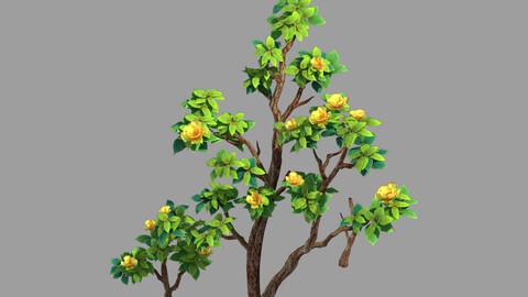 100 acres of forest - small tree 04