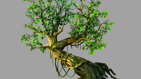 Fernnor Tree Cave - Right Tree 02