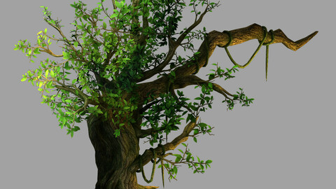 Fernnor Tree Cave - Left Tree 01