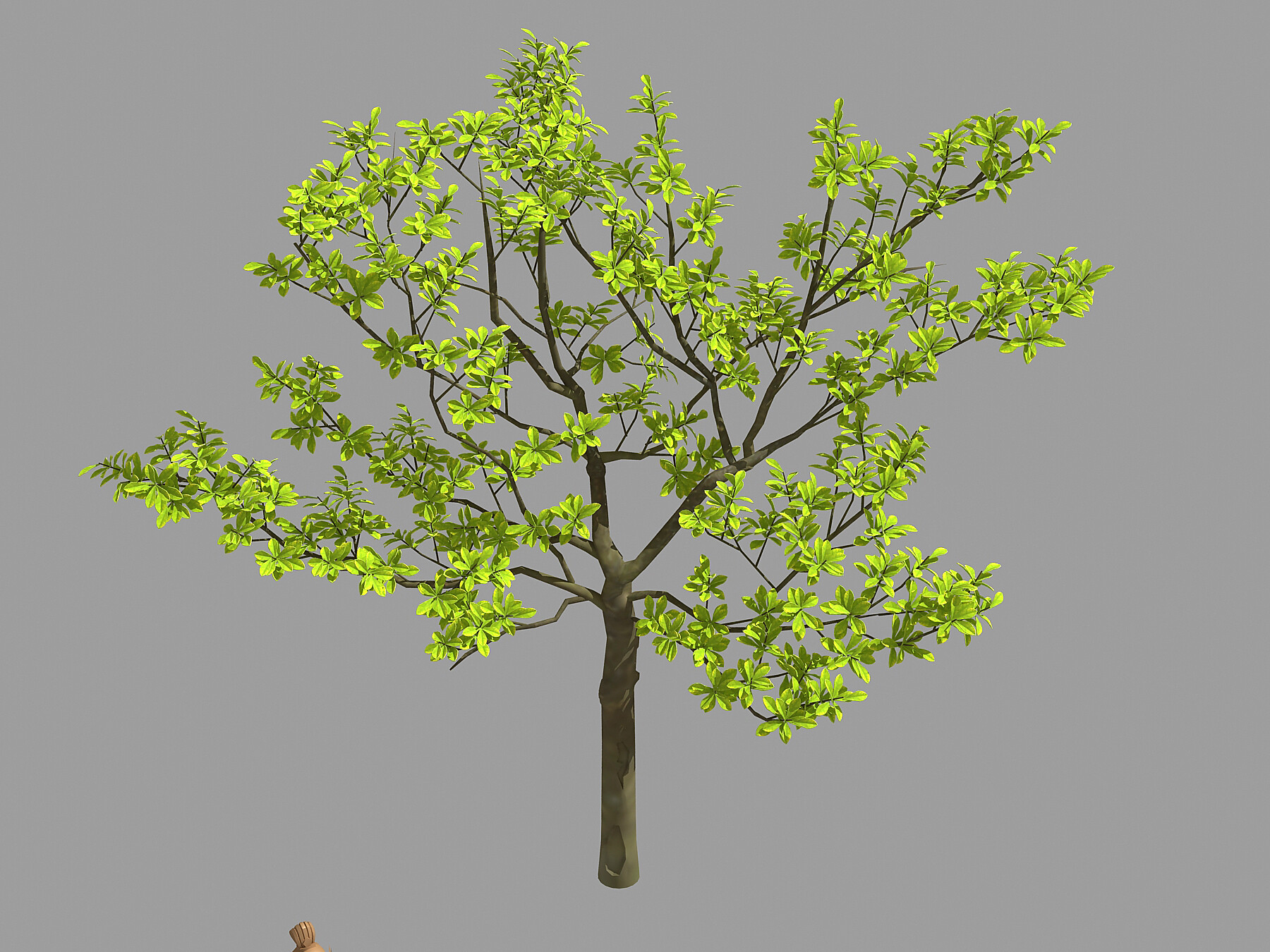 Tree leaves 3d модель. Дерево 32 32. Leaf 3d model. Tree leaves орнамент 3d модель.