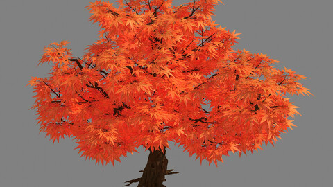 Red Plant - Maple 32