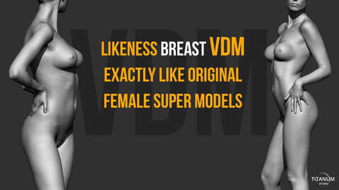 2 Full Breast  VDM brush