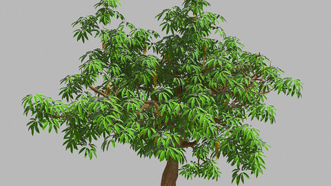 Sharp leaves - Tree 33