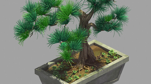 Bonsai - Flowerpot 36