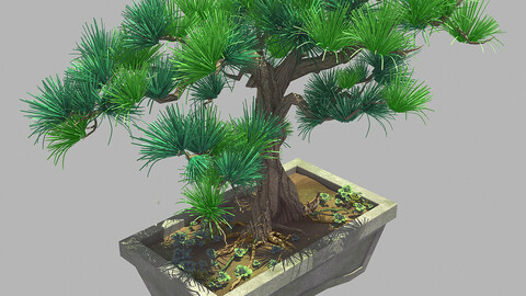 Bonsai - Flowerpot 39