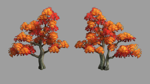 Forest - Maple Tree 98