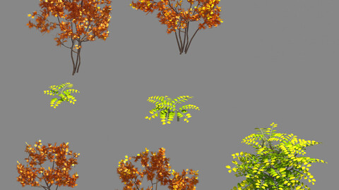 Forest - Red Leaf Valley Plant 2