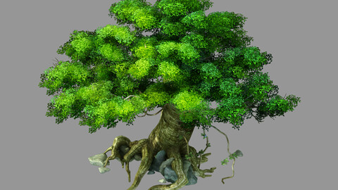 Forgetful Forest - Big Banyan Tree 33