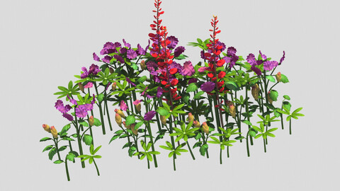 Small Plants - Shanhua 35