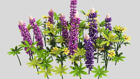 Small Plant - Mountain Flower 40