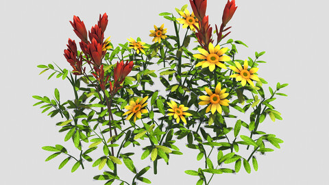 Small Plant - Mountain Flower 42