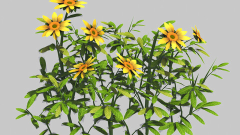 Small Plants - Shanhua 43