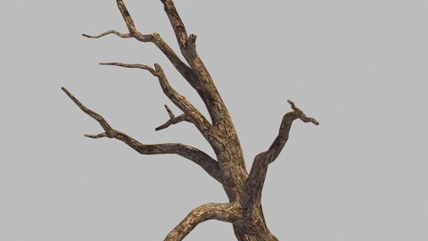 Original - Desert - Three Dry Trees 02