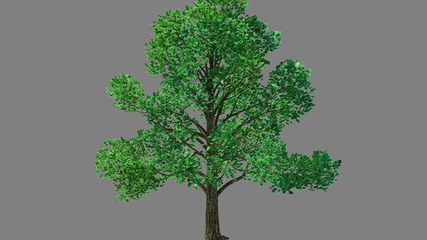 Moon Temple - Tree 02