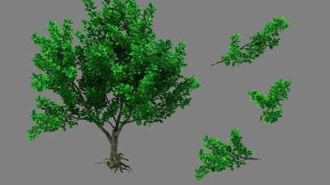 Moon Temple - Tree 03