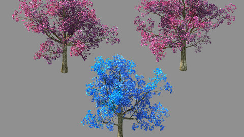 Moon Temple - Cherry Blossom Tree 01