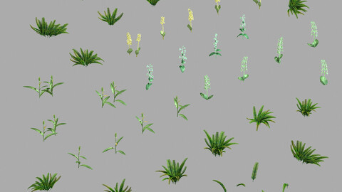 Miscellaneous Flowers - Weed 069