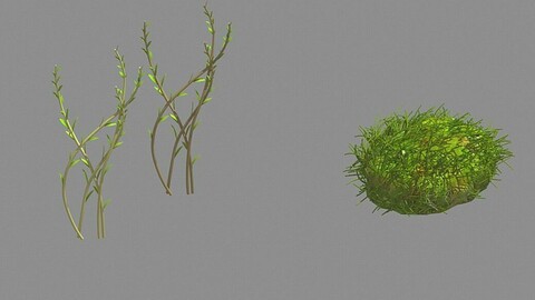 Plants - Brushwood 03