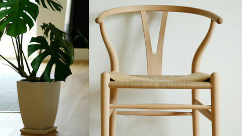 Solid Wood Rattan Ychair Interior Chair 2colors