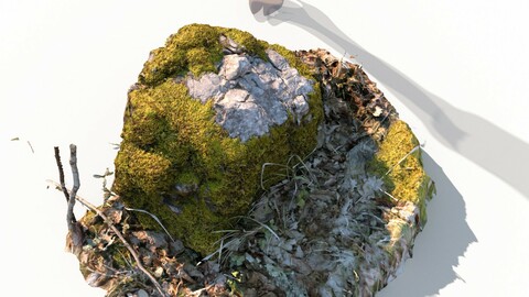 Forest stone formation a 3D model