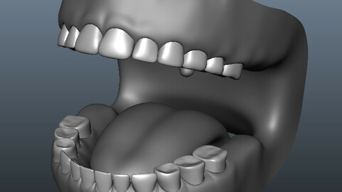 Jaw base mesh