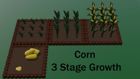 Corn 3 Stage Growth
