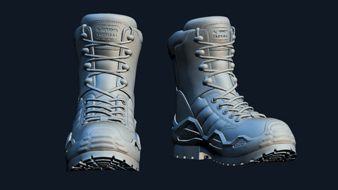 LOWA Tactical Boots - tactical military equipment