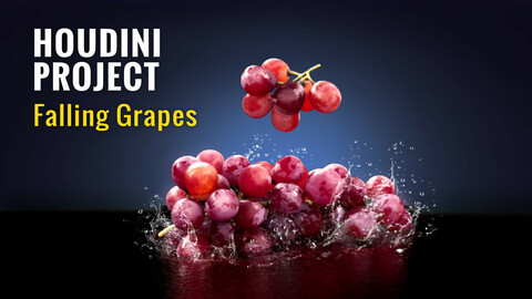 Houdini Hip File | Falling Grapes | VFX Grace