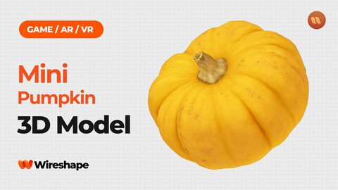 Mini Pumpkin - Real-Time 3D Scanned