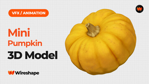 Mini Pumpkin - Extreme Definition 3D Scanned