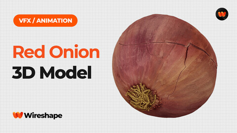 Red Onion - Extreme Definition 3D Scanned