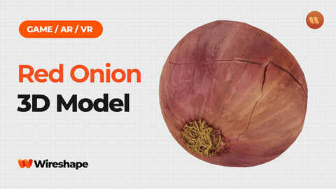 Red Onion - Real-Time 3D Scanned