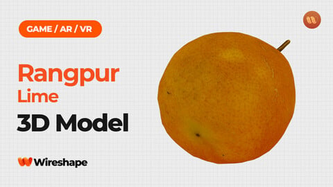 Rangpur Lime - Real-Time 3D Scanned