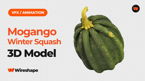 Mogango Winter Squash - Extreme Definition 3D Scanned